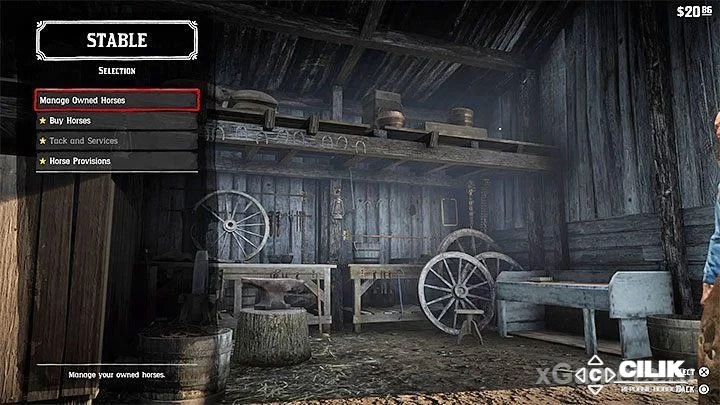 Гайд по всем лошадям Red Dead Redemption 2: породы, поиск и уход