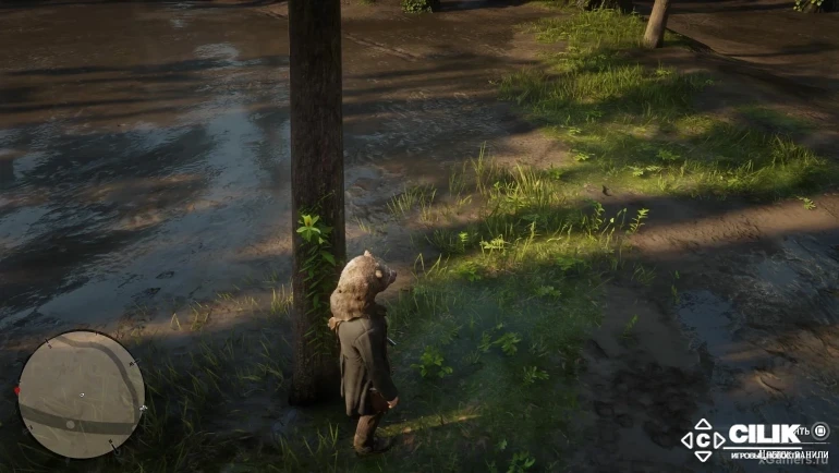 Все растения Red Dead Redemption 2 и где их собирать